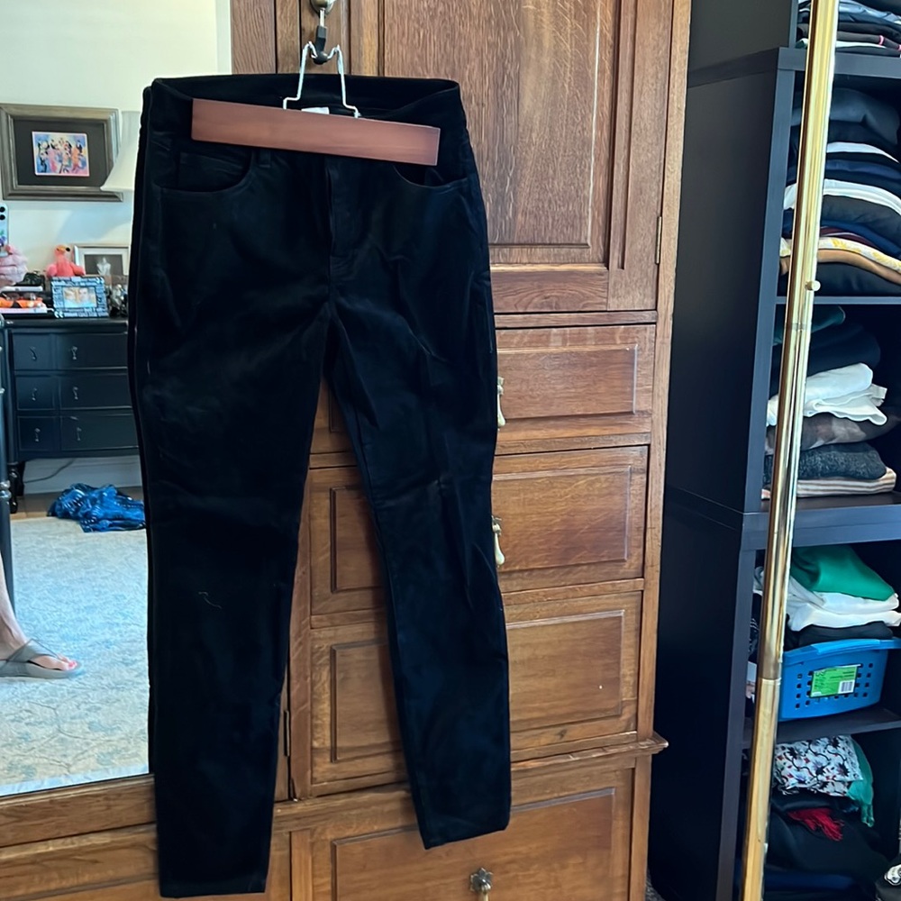 CAbi New arrivals Velvet pant..